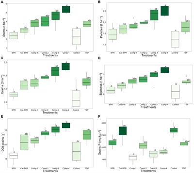 Enhancing the use of phosphate rock through microbially-mediated compost transformation to improve agronomic and economic profitability in Sub-Saharan Africa